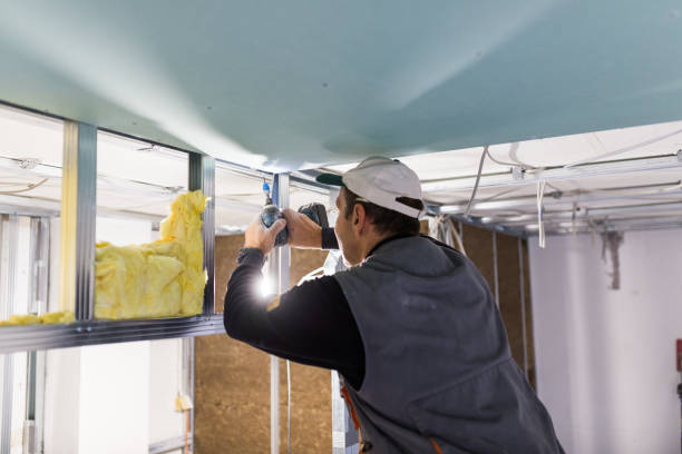 Best Cellulose Insulation in Rancho Cordova, CA